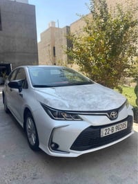 كورلا ساس • ٢٠٢٤ • مكفولة صبغ وبارد
