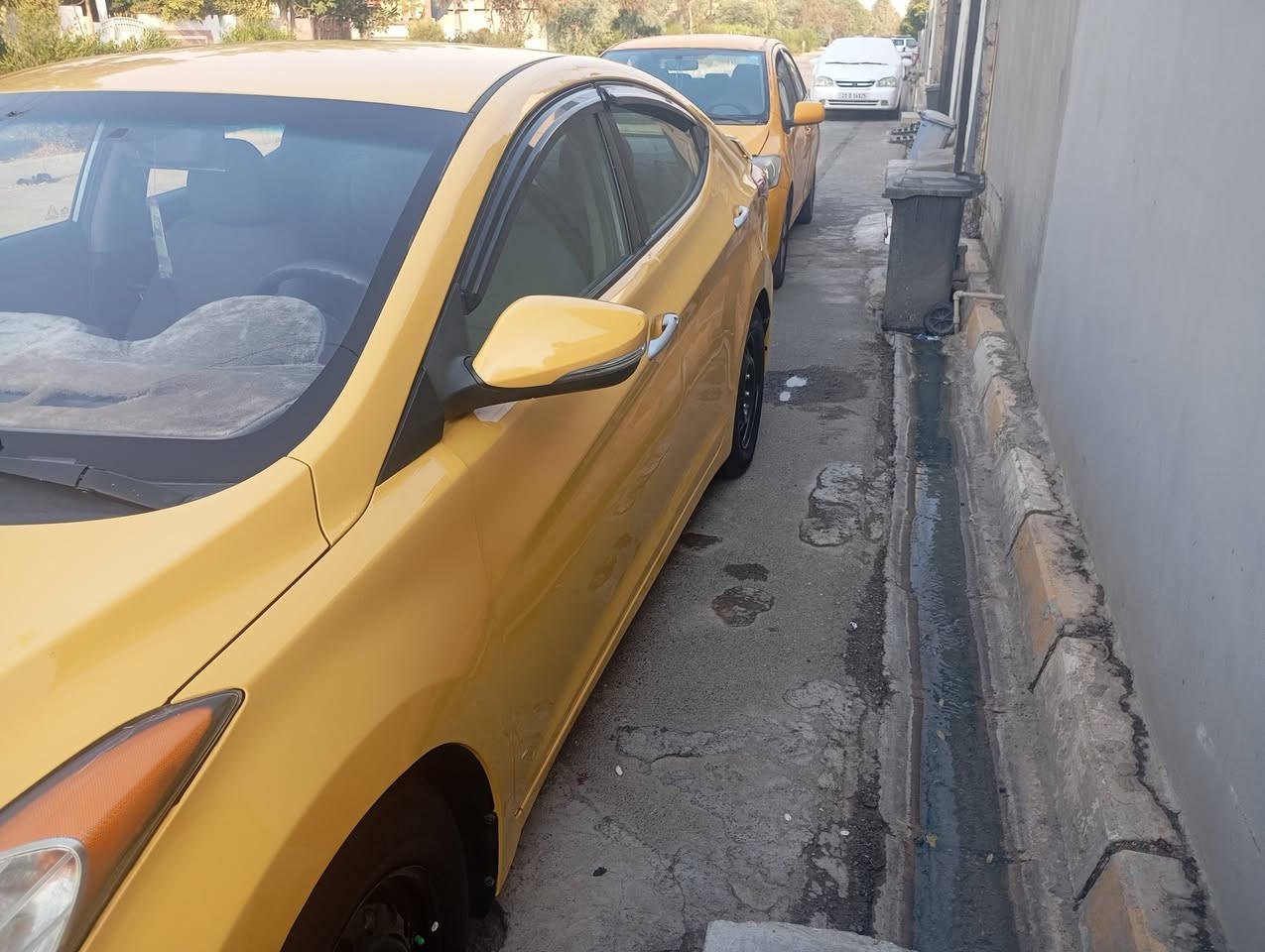 النترا • ٢٠١٢ • وارد امريكي