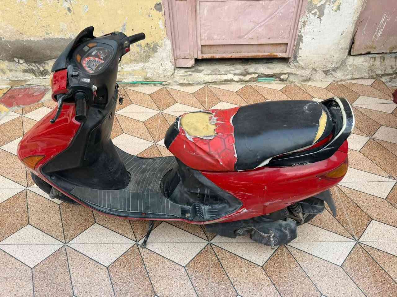 فراشه • فحل • معدل