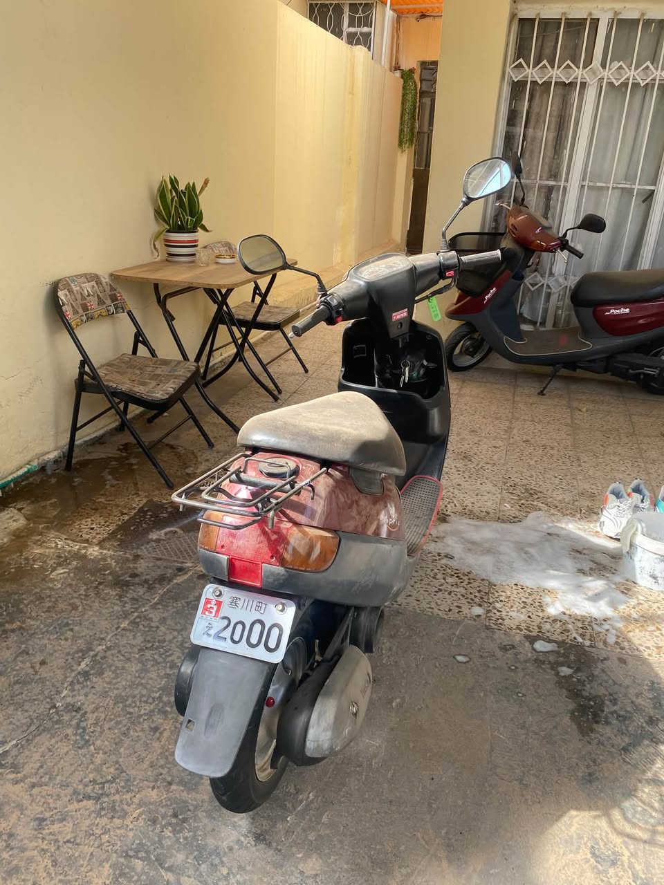 بطه • جديدة • ٢٠٠٣