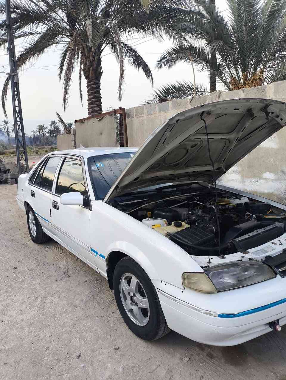 برنس فراشة • ١٩٩٦ • كربلاء