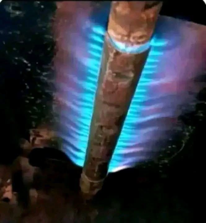 🔥 سلام عليكم 🔥

صيانة وتصليح وتنظيف جميع أنواع الطباخات الغازية
بأيدي خبرة وشغل مضمون ✅

✔ تنظيف شامل وإزالة الدهون
✔ تصليح جميع الأعطال
✔ صيانة موقعية — نجيكم لباب البيت 🚐
✔ توفير قطع غيار أصلية

خلي طباخك يرجع مثل الجديد ✨

📞 للتواصل والاستفسار:
واتساب + اتصال 
***********

