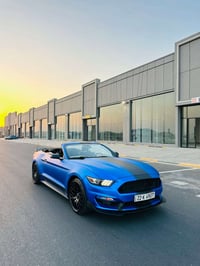 موستانغ V6 • ٢٠١٧ • ٦٥ الف اربيل