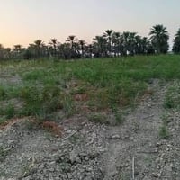العزيزية برينج • ١٠ دونم • جاهزة للاستثمار