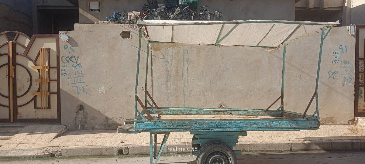 عربانة • مخضر • ريلمي C55