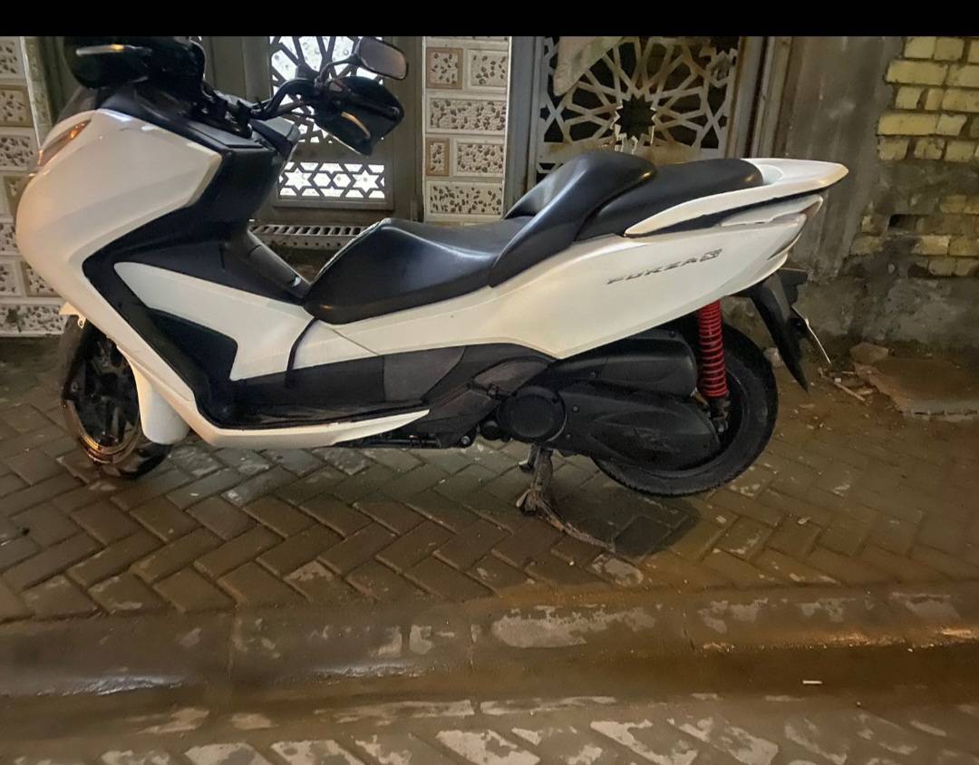 فورزة • ٢٠١٧ • مرقمة سنوية
