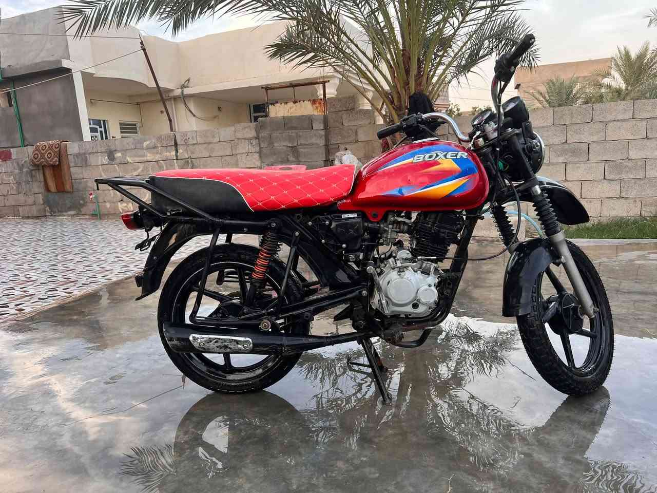 بوكسر • ٢١ • اوراق