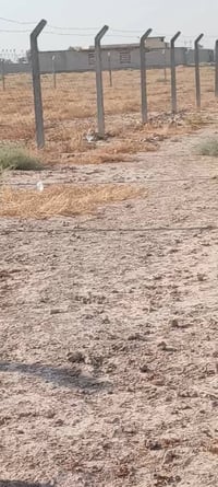 بغداد قريه ١٠ • دونم • أرض زراعية