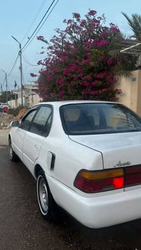 كورلا • ١٩٩٤ • رقم كربلاء