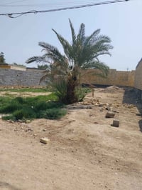 قرب سيد مناحي • ٤٠٠م • بوري ماء وكهرباء