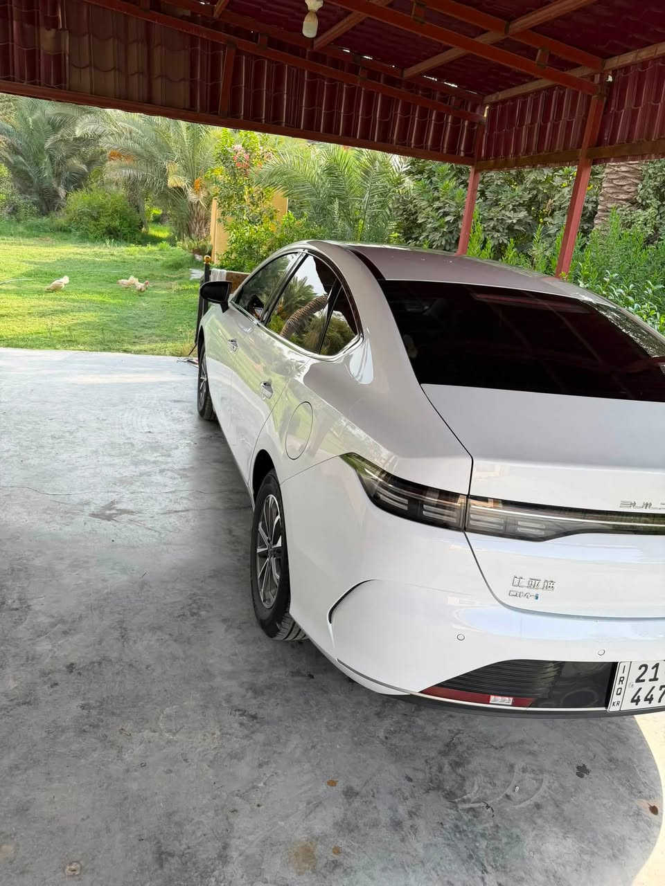 🚘 سيارة BYD 2025 للبيع
سيارة نظيفة وجاهزة للاستخدام، مكفولة كفالة عامة.
📌 رقم سليمانية
📌 السيارة باسمي

📍 المكان: واسط – الصويرة
📞 للاتصال والاستفسار: ***********
