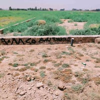 ٢٥٠م • طابو زراعي • حي المرتظى