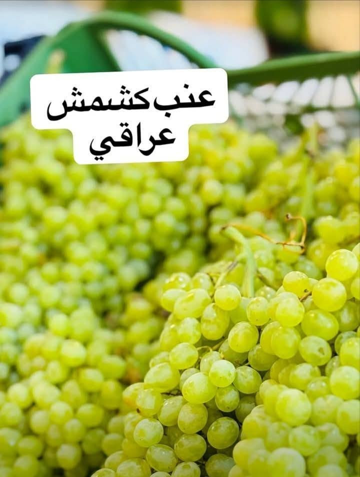 خيرات بسماية • خضار وفواكه • طازجة