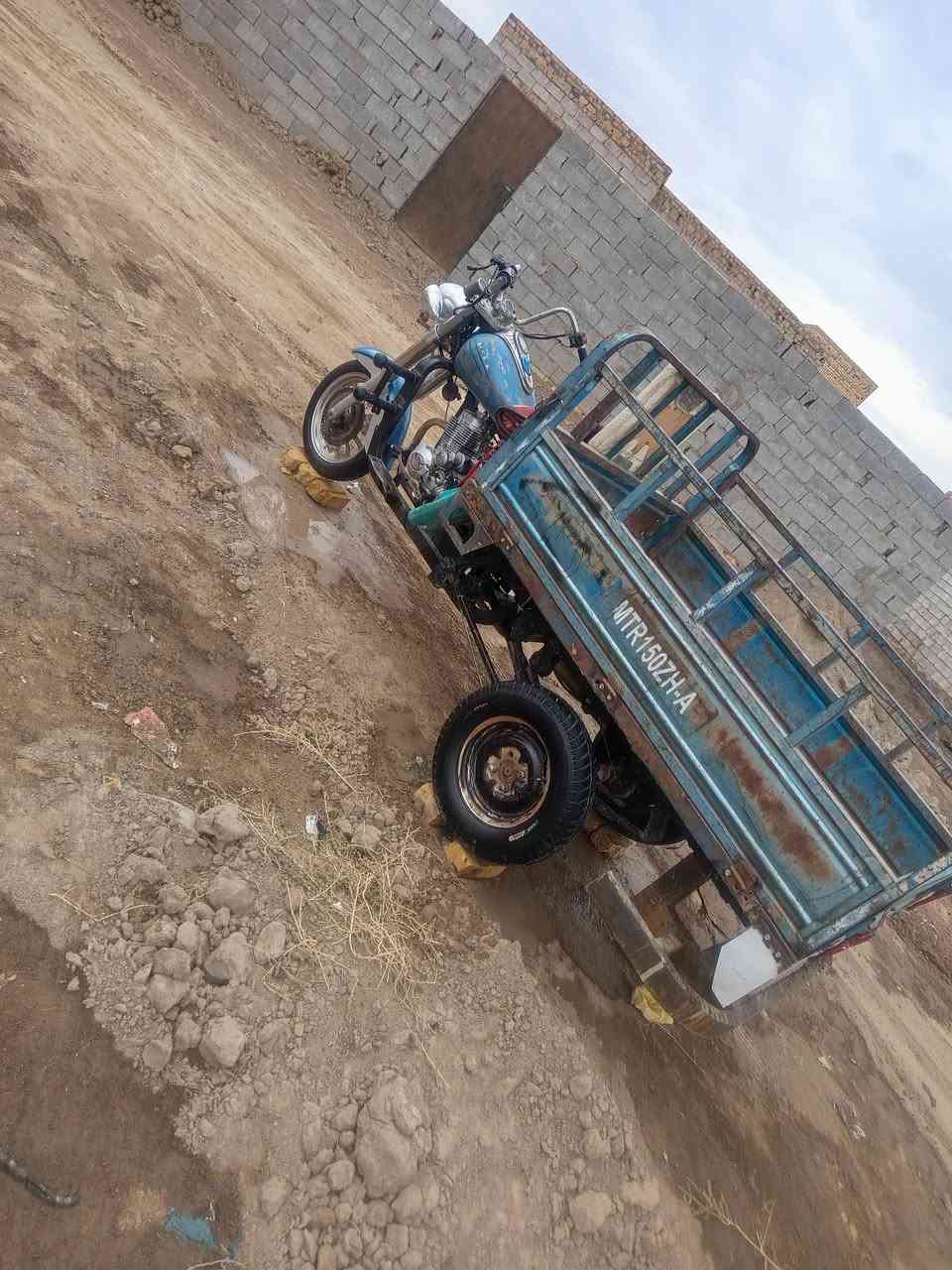 ستوته • شغاله مكينه • كفالة