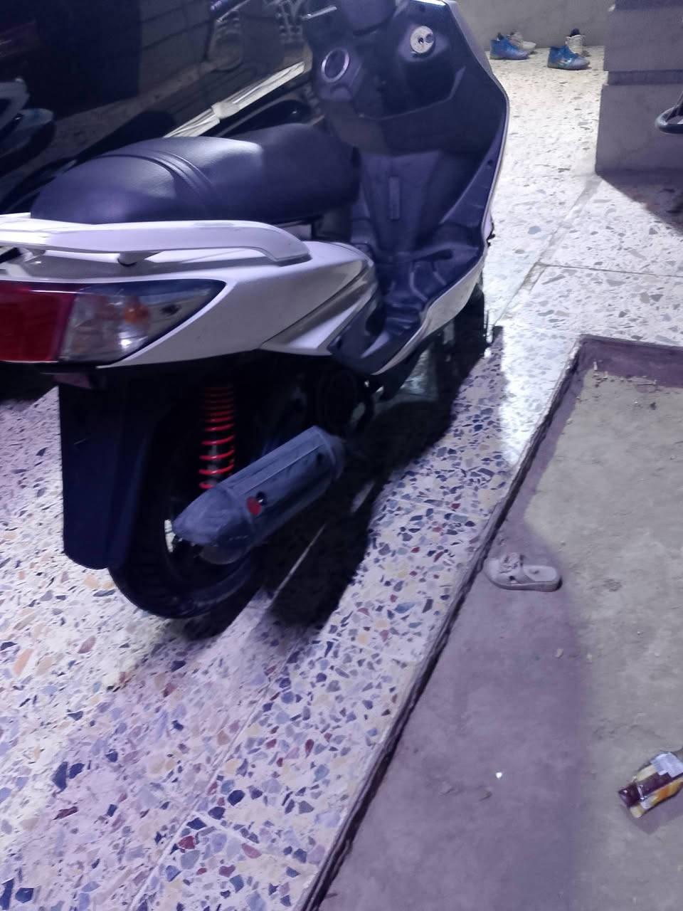 سكنس فحل • بلاديه • مكفوله