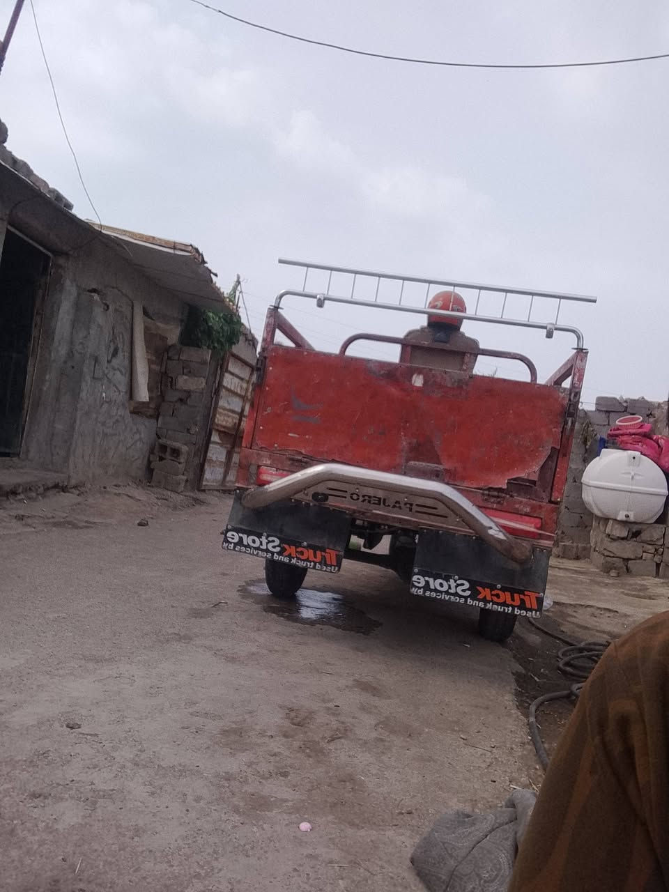 ستوته • فحل • بغداد تاجي