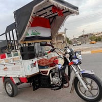 ستوته • موديل ٢٢ • فحل عالي