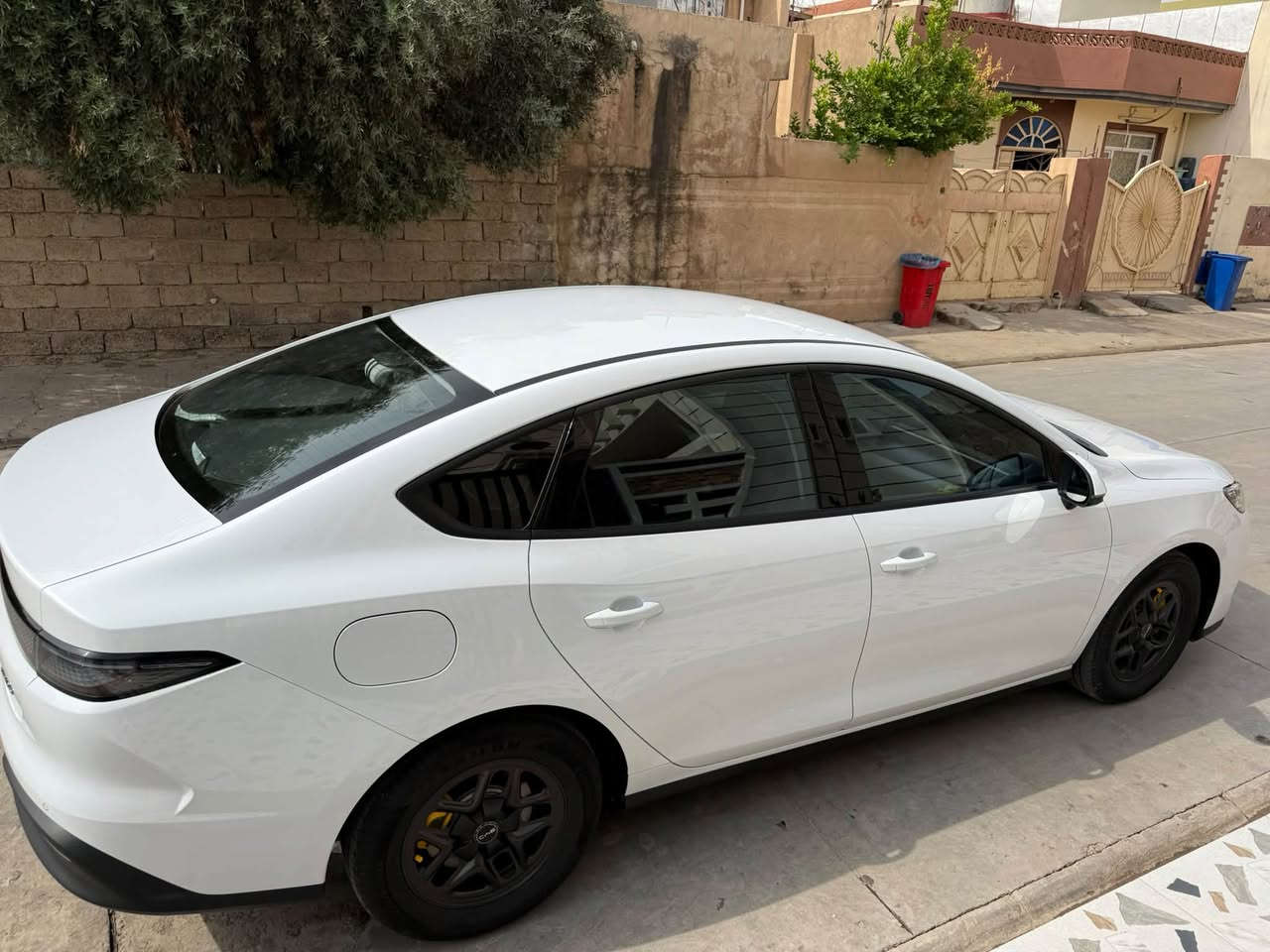 سيل فايف • بدون صبغ • ٢٩ ألف