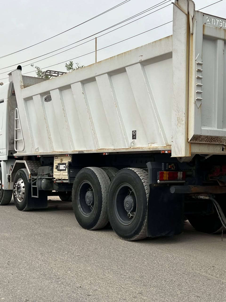 مايلر • جديد • أوراق