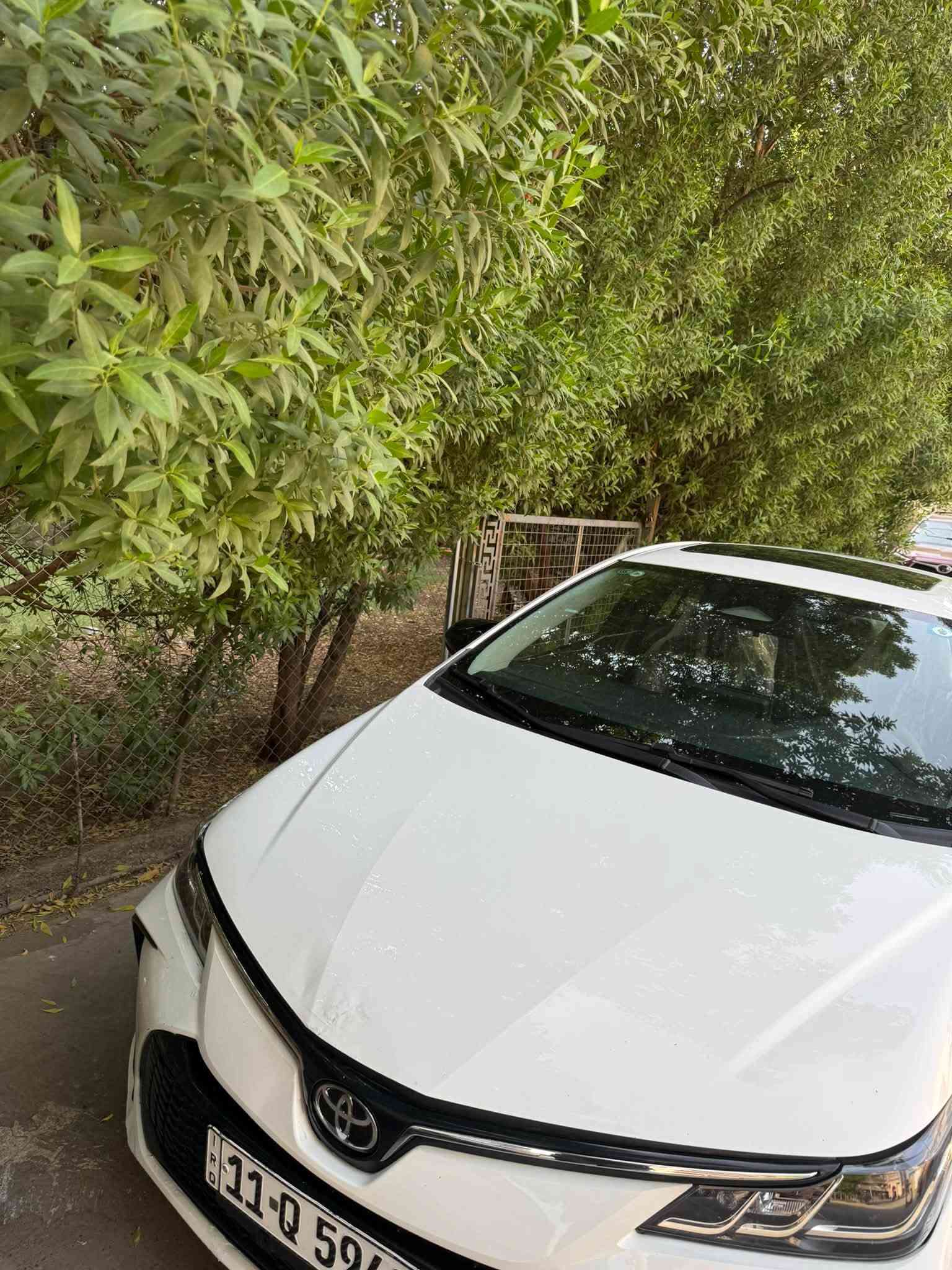 سلام عليكم 
كورلا 2025 نص جاملغ صبغ وبارد جدا صغير 
وشخط.بل باب ومكحل 
ناشرلك فديو توضيح للسياره 

سعر 148 
ماشيه 37

***********
عنوان الاعضميه
