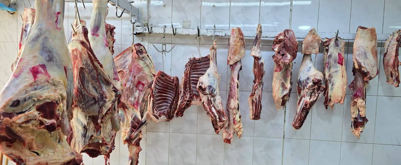 لحم طلي عراقي • لحم عجل عراقي • خانقين كهريز السفلى