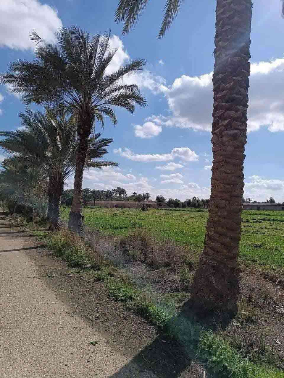 السلام عليكم اليوم جايبيلكم 👑عروض في 💎منطقة الشيخ عامر💎
كامل من خدمات ✅
ماء 💦
واكهرباء 💡
سند 25تسجيل بسمك📋
خمسة دونم🏞
السعر 45وبيها مجال ✅
بنص السوك مال الشيخ عامر 🏙
لاستفسار اكثر على الرقم التالي 📞
***********هاتف 📞
***********متوفر واتساب📱
أحمد ابو ريان لاستثمار العقاري 👑
