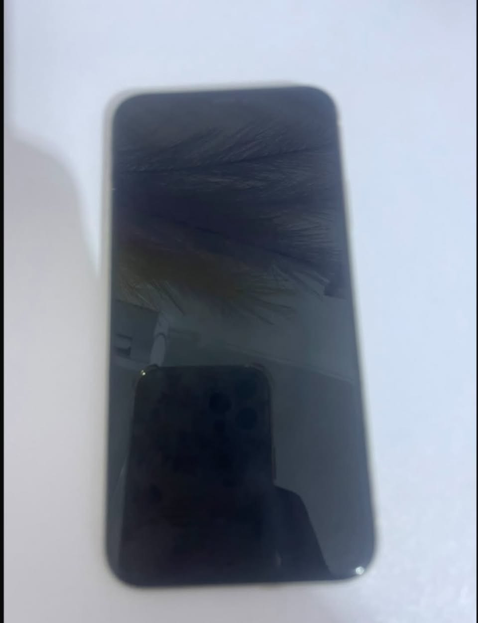 سلام عليكم شباب شلونكم هذا جهاز ايفون 📲١١ عادي باب اول دبل سيمكرت  بطاريه ٩١ ممفتوح ولابي اي شي مبدل كولشي بلادي ذاكرته ١٢٨ تصديره ٢٦ محدث وكامل الطلب ولاستفسار ع الرقم وسعر خاص رجاء بس لمشتري يتصل ***********
