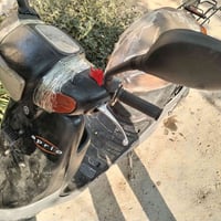ابريو • بطه • سلف