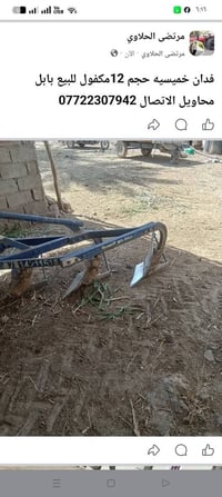 فدان خميسيه • 12مكفول • بابل