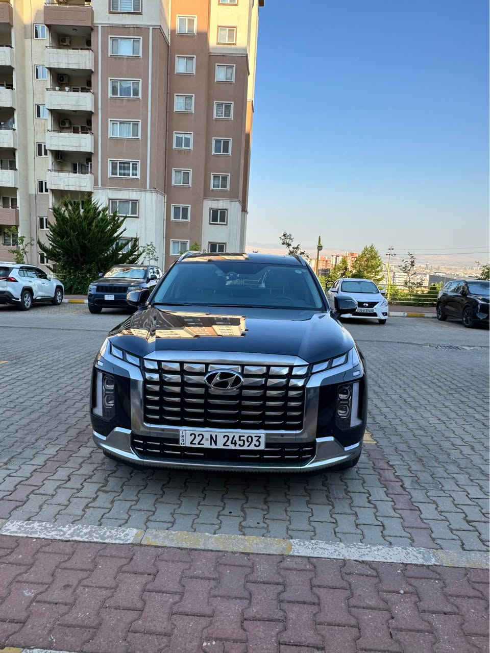 باليسيد ٢٠٢٥ • كالكرافي • رقم اربيل