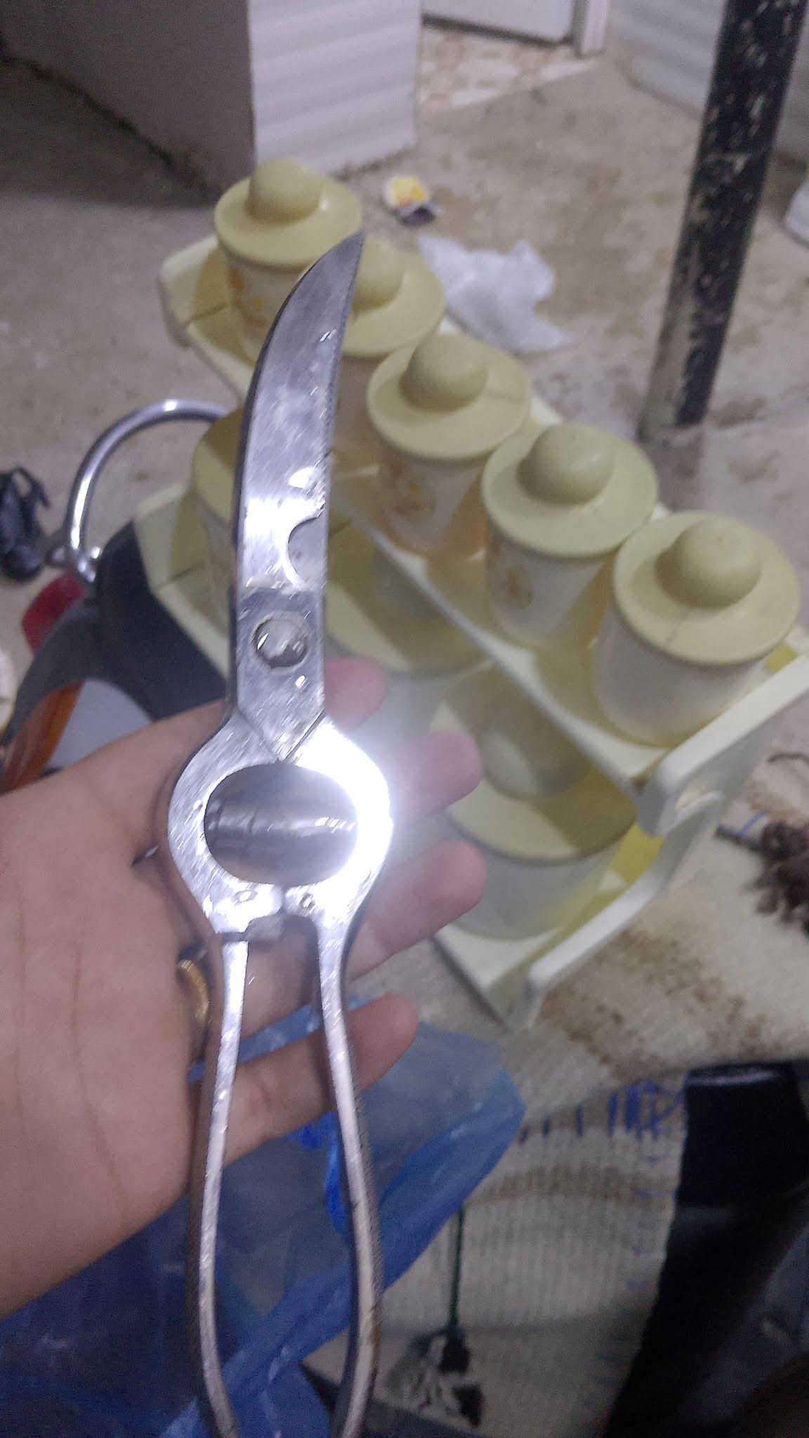 اغراض امزون
