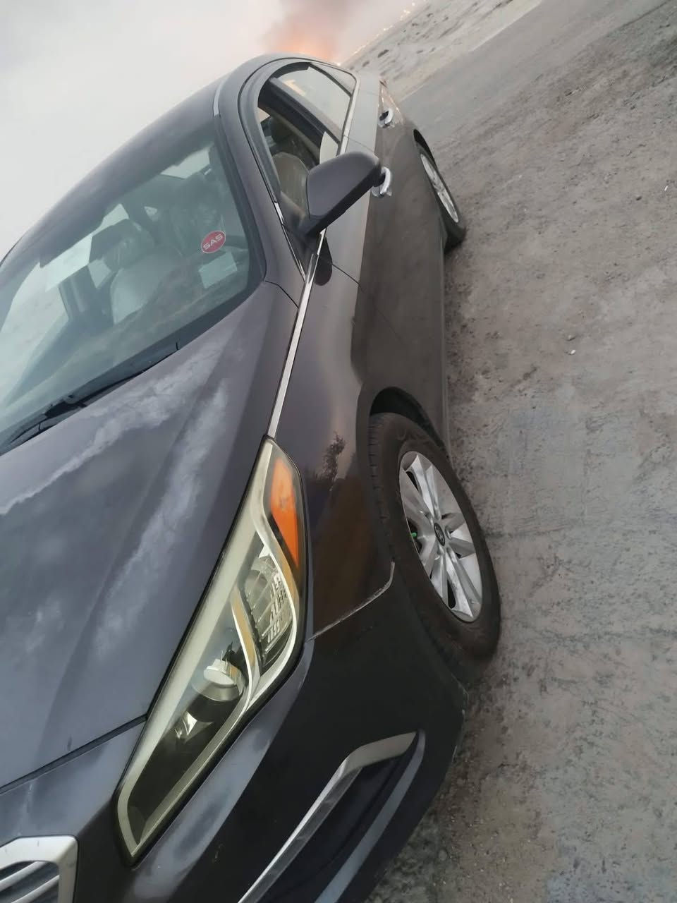 سوناته • ٢٠١٥ • وارد امريكي