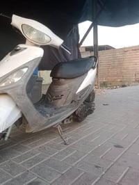 ماكس منغولي • ١٢٠ • معدل قوي