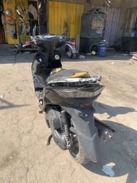 سكنس • ياباني • وارد