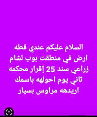 سيد كامل   07703031595