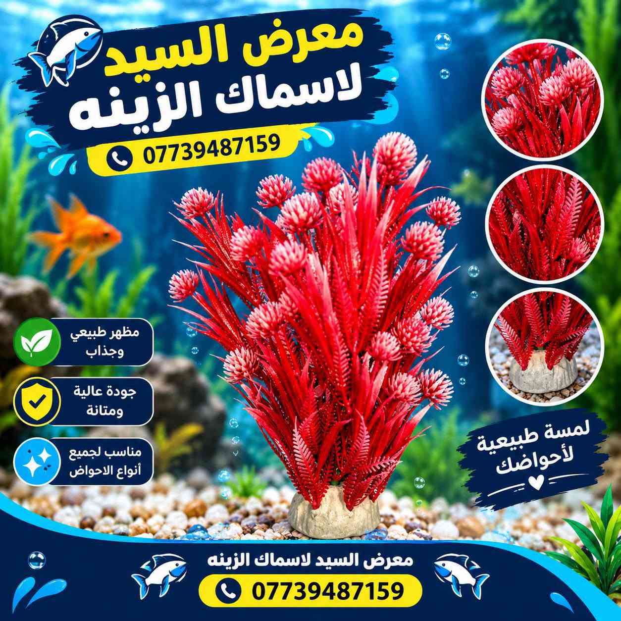 🌿🐠 ورد ونباتات زينة لأحواض الأسماك 🐠🌿

خلي حوضك أجمل وأحلى بألوان مميزة 🌸✨
متوفر لدينا تشكيلة متنوعة من ورد ونباتات الزينة الصناعية للأحواض بألوان وأشكال مختلفة 🌺🌿

✅ شكل طبيعي وجذاب
✅ ألوان زاهية ومميزة
✅ مناسبة لمختلف أحواض الأسماك
✅ تضيف لمسة جمالية رائعة للحوض

📍 معرض السيد لأسماك الزينة
📞 للطلب والاستفسار: ***********

💚 اختار اللون اللي يعجبك وخلي حوضك يختلف عن الباقين! 🐟🌸

#معرض_السيد_لاسماك_الزينة #اسماك_الزينة #احواض_الاسماك #نباتات_الاحواض #ورد_الاحواض #ديكور_احواض #اكواريم
