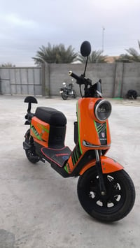دراجة شحن • R11
