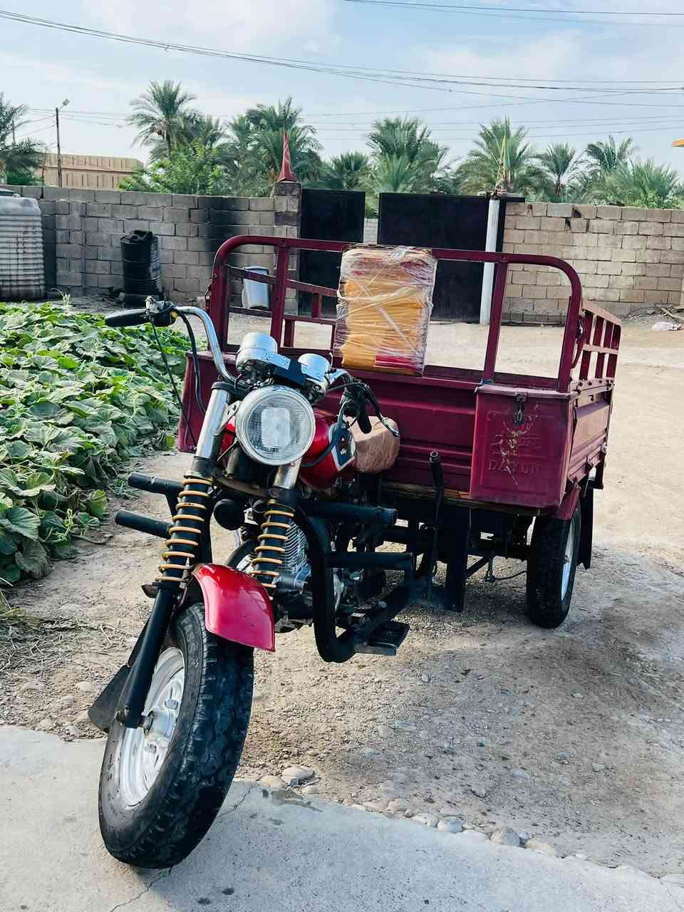 ستوته • دايون • اوراق اصوليه