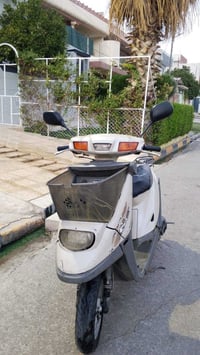 بزون • نضيف • ما معمر