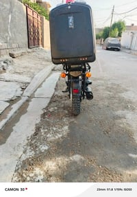 بوكسر • ٢٣ • رقم وسنوية