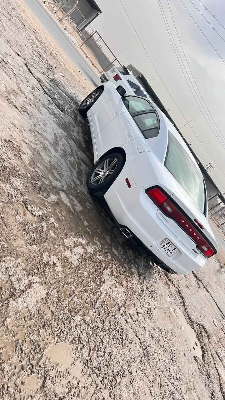 جانجر • ٢٠١١ • كفالة