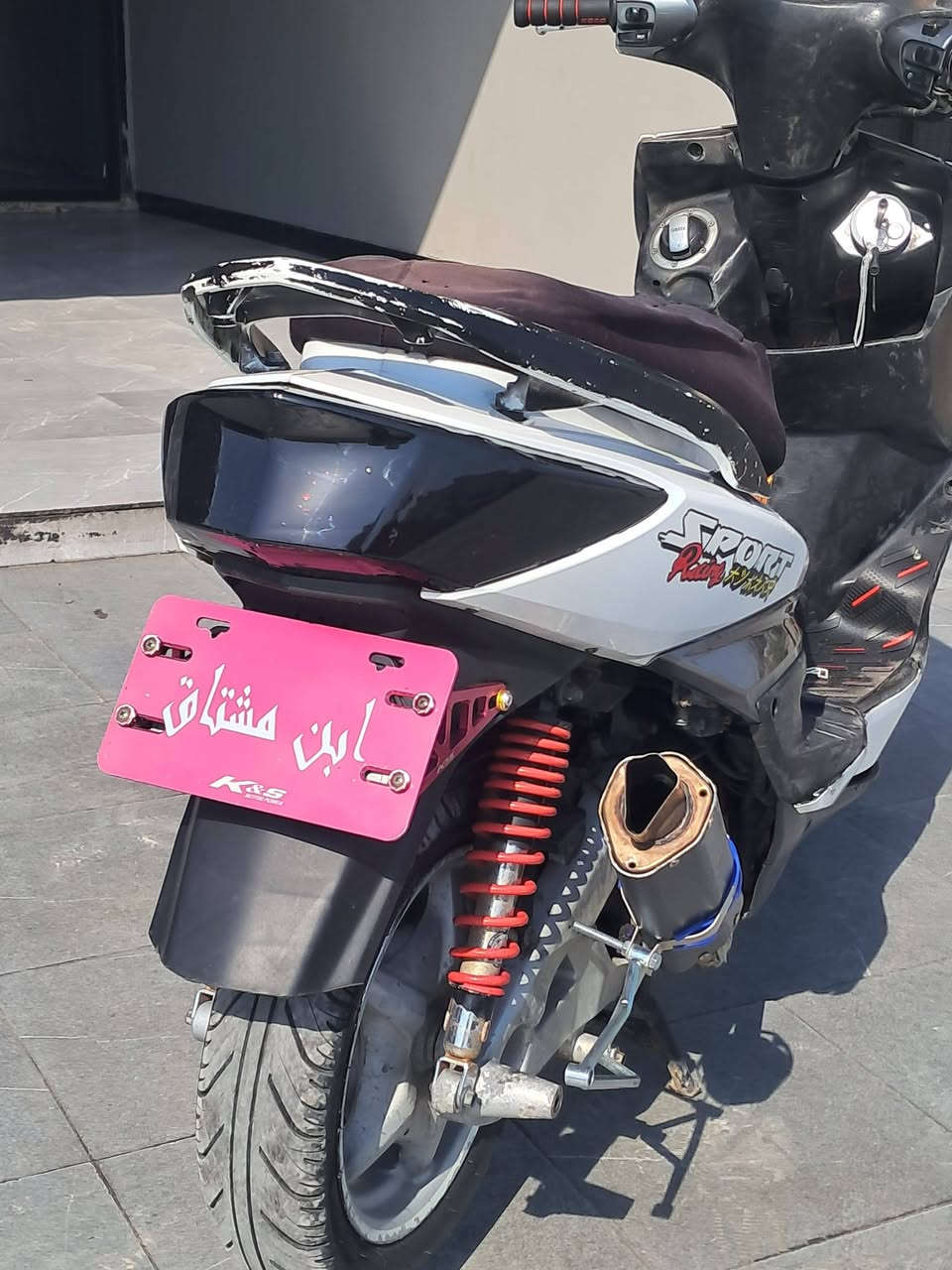 سكنس فحل • ياباني • نوزل خطين