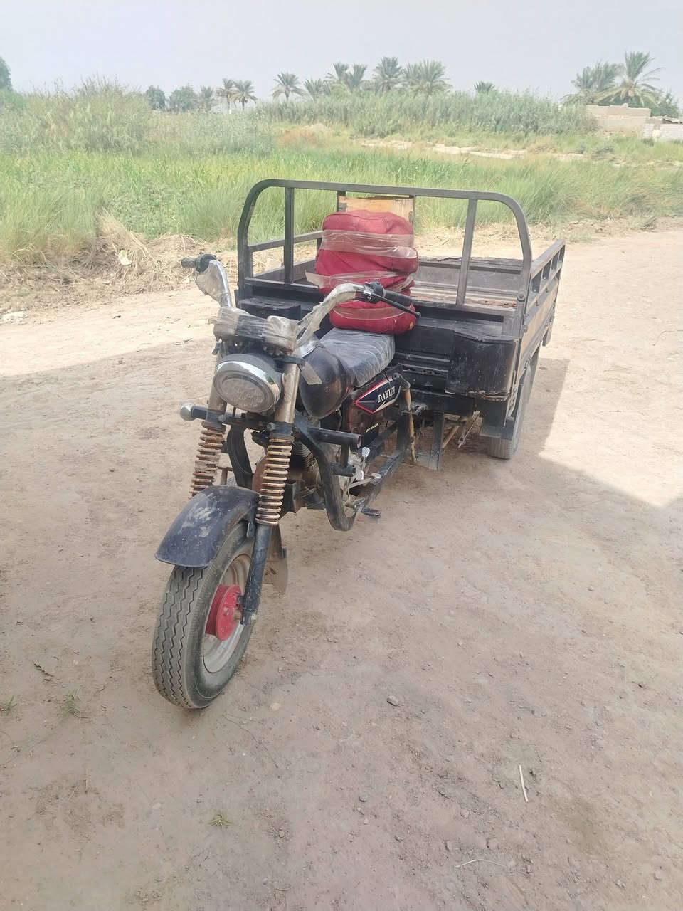 ستوته • موديل ١٢ • مرقمه