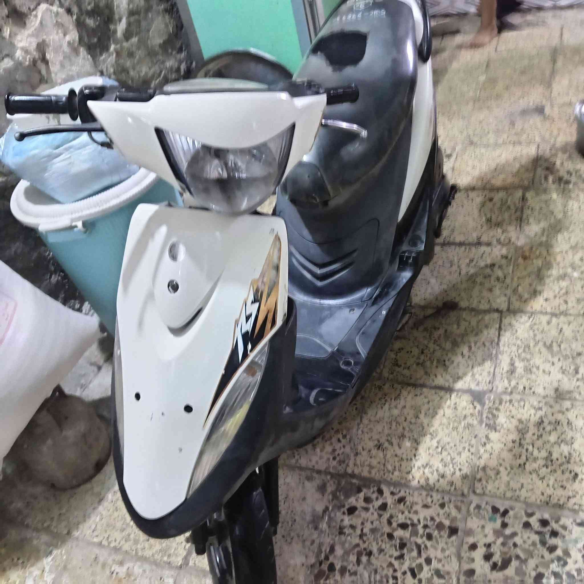 ماكس عدلة • بابل