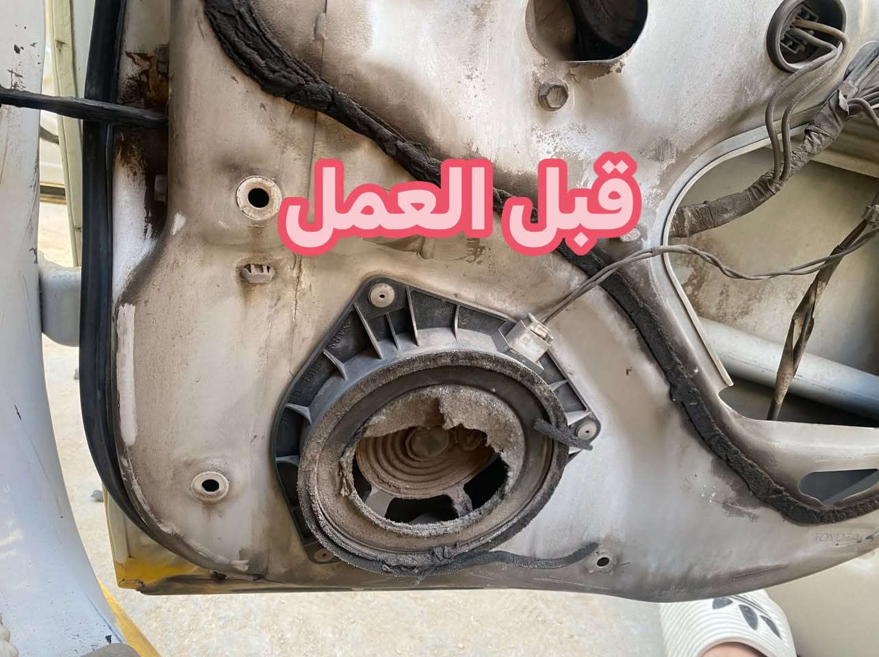 كورلا • صوت احترافي • بغداد