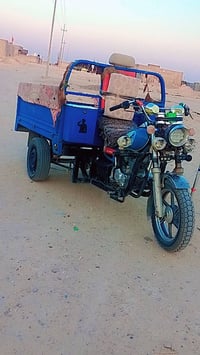 ستوته • كربلائي • ٢٠١٩