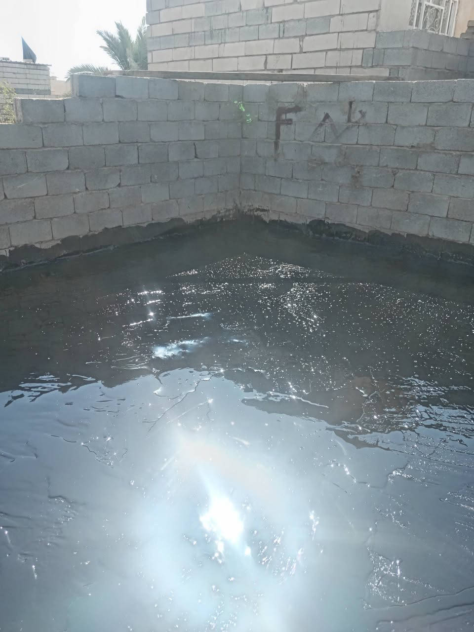 تعلن سكلة المنكوشي في كربلاء المقدسة عن وجود كادر متخصص في عمل الكير والشتايكر درجه اولى وشرط الفحص بأنسب السعار  ....كرسته  وعمل ..الاستفسار على الارقام /***********---- ***********
