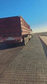 شاصي ١٤ • طول ١٢ ونص • ارتفاع ١٨٥
