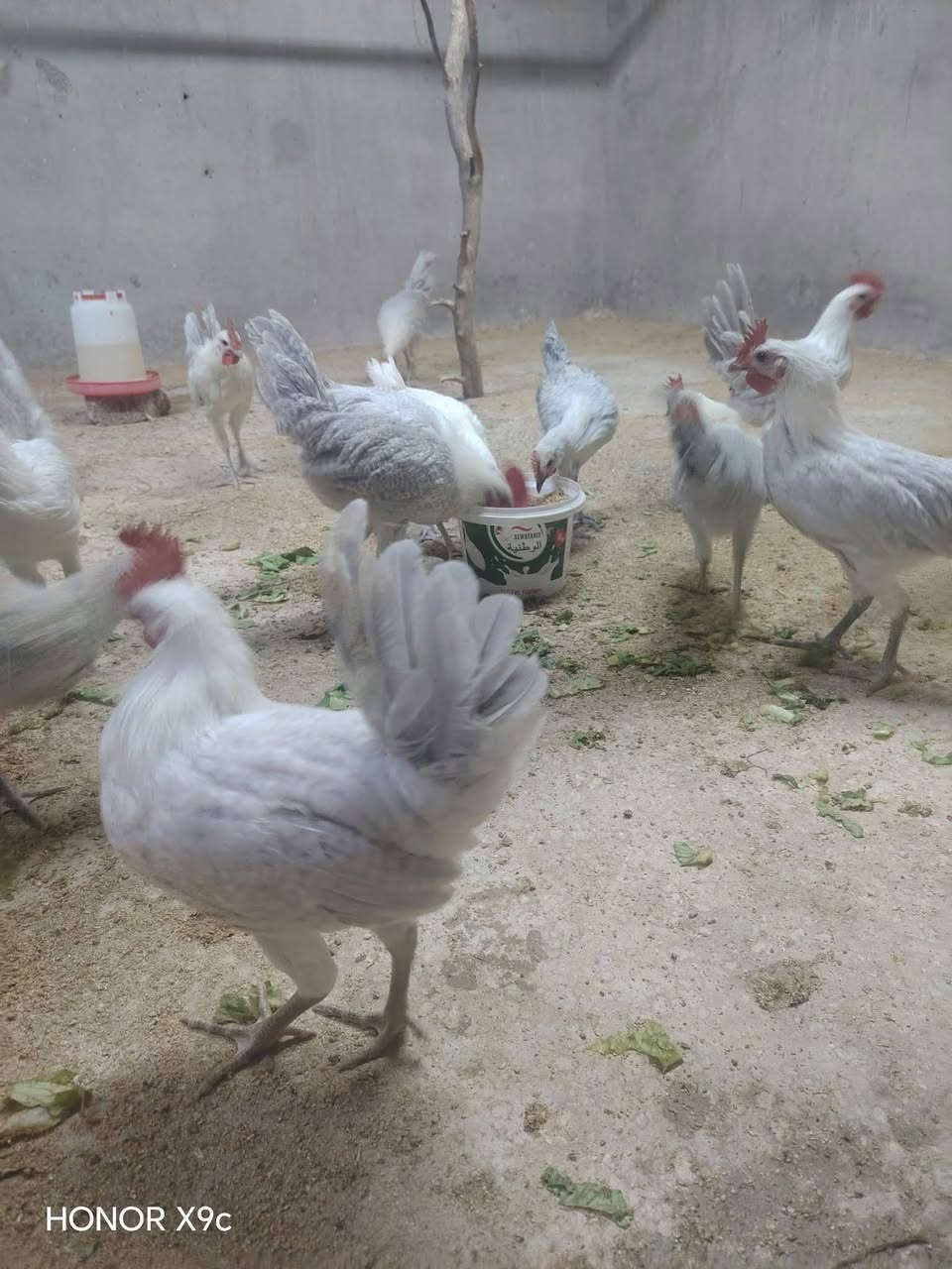 المنيوم • ١٧ تك • موصل الشلالات