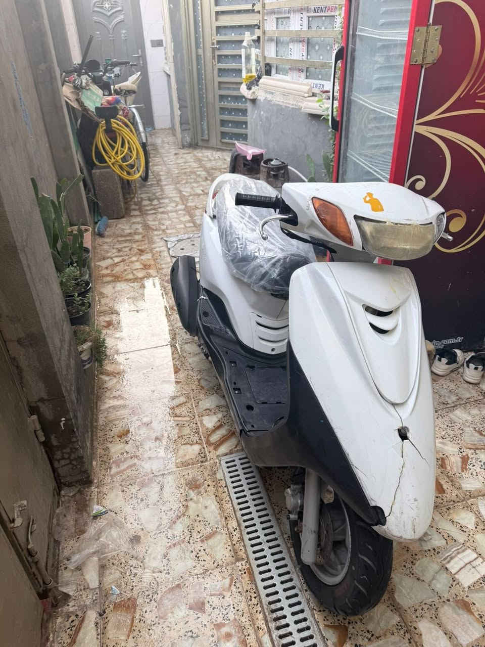 اكزز • ياباني • نضيف